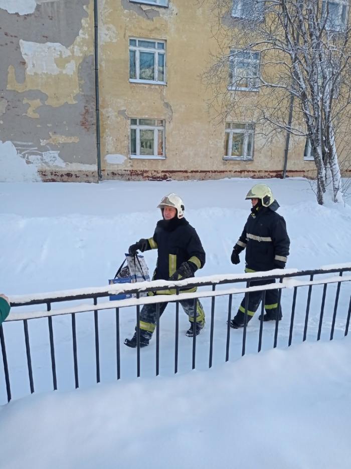 Новодвинские пожарные спасли филина от ворон